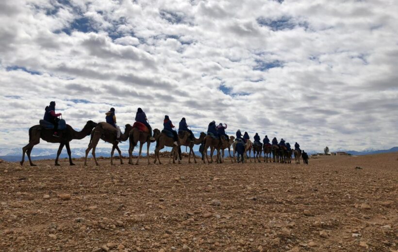 Camel Ride & Traditional Lunch in the Agafay Desert
