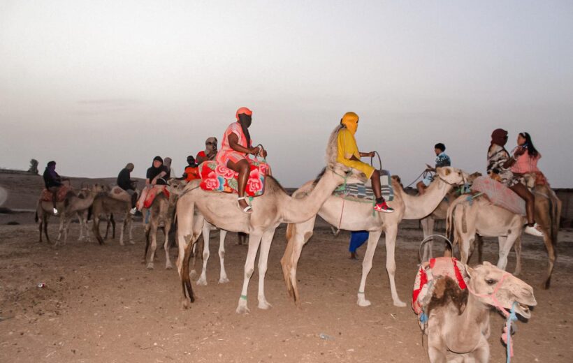Camel Ride Experience in the Agafay Desert