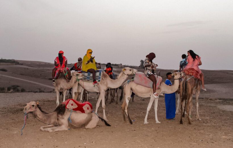 Camel Ride & Dinner Show: Unforgettable Evening in Agafay